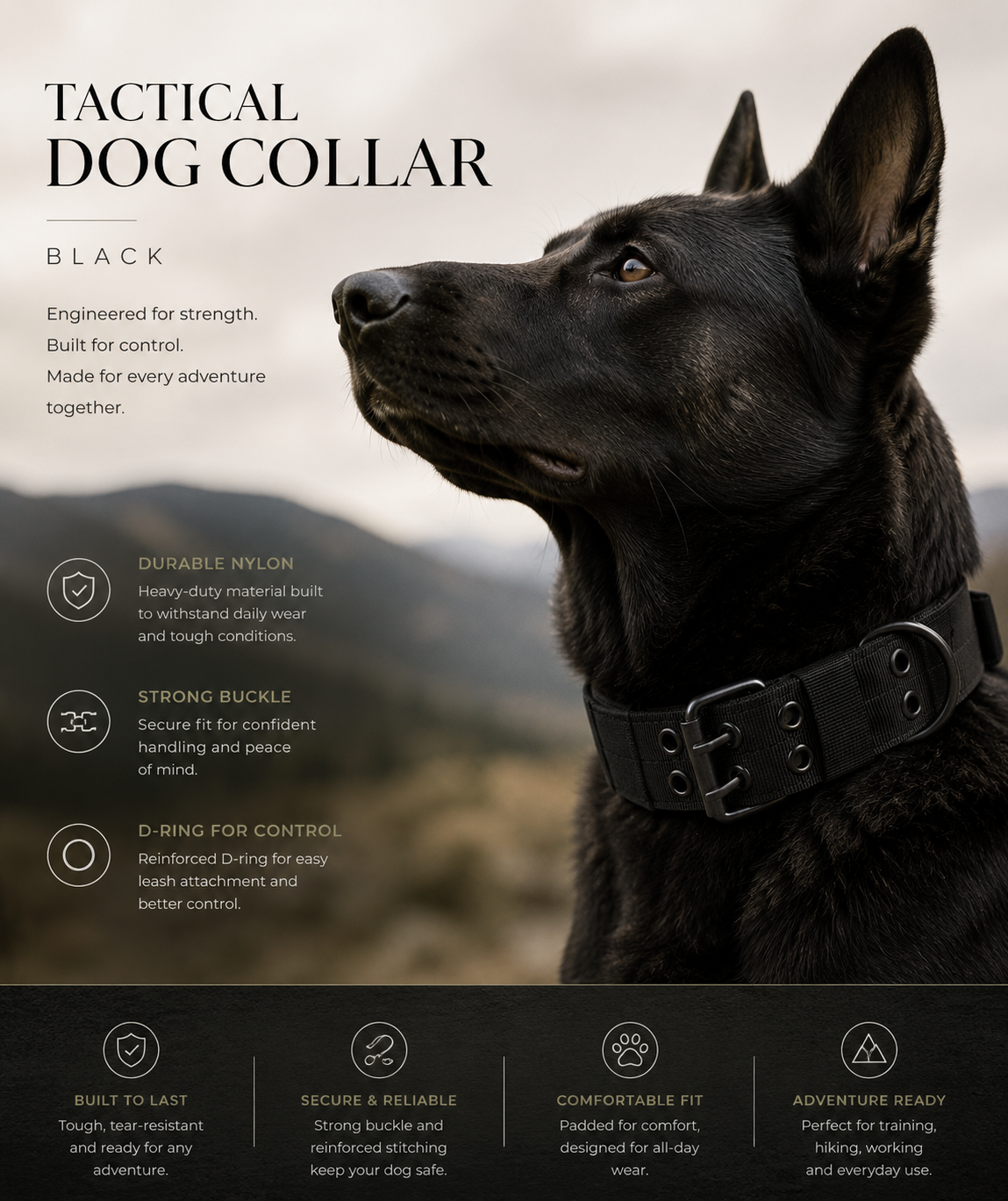 Heavy-Duty Dog Collar