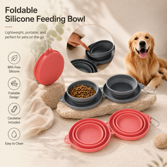 Foldable Feeding Bowl