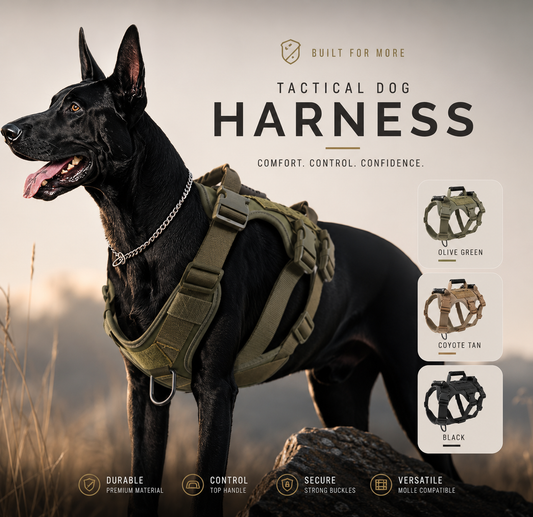 Premium No-Pull Chest Harness