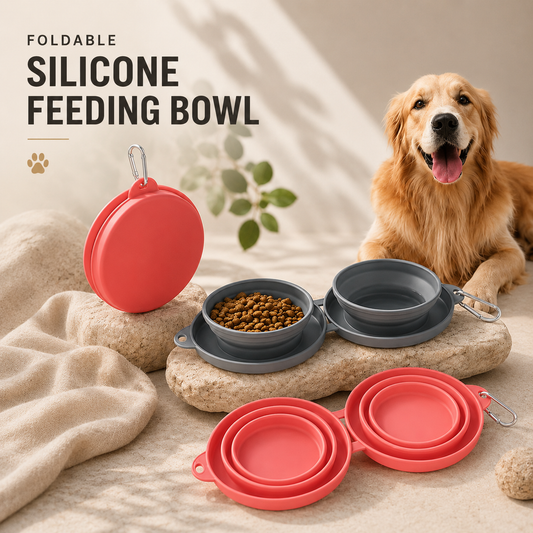 Foldable Feeding Bowl