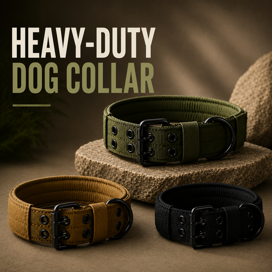 Heavy-Duty Dog Collar